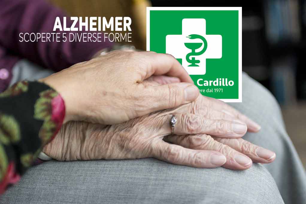 Alzheimer-scoperte-5-forme-diverse.jpg