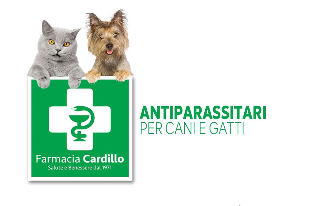 farmacia-veterinaria-avellino.jpg